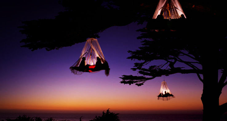 Tree camping in Germany