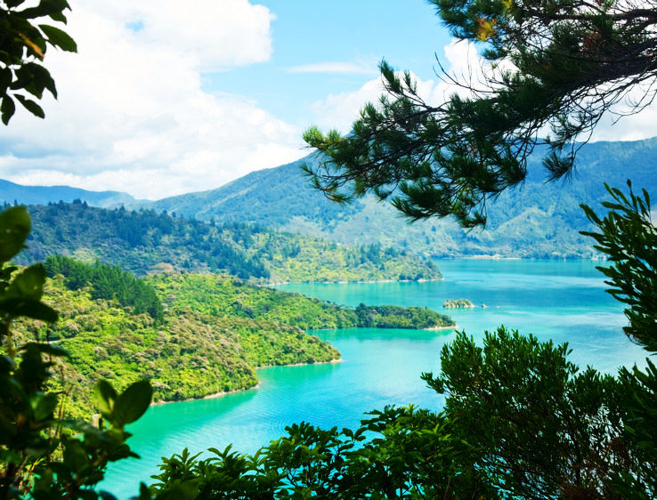 Queen Charlotte Track