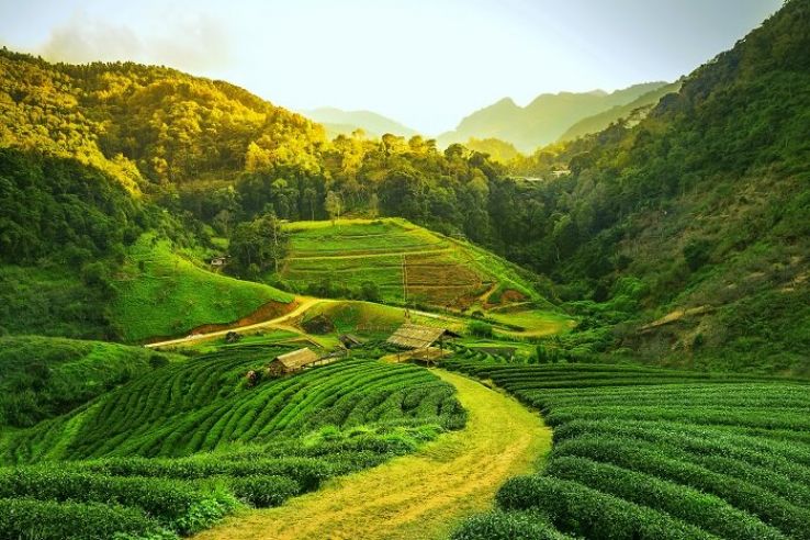 Sightseeing Sites Near Airport