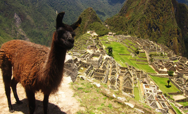 Inca Trail to Machu Picchu