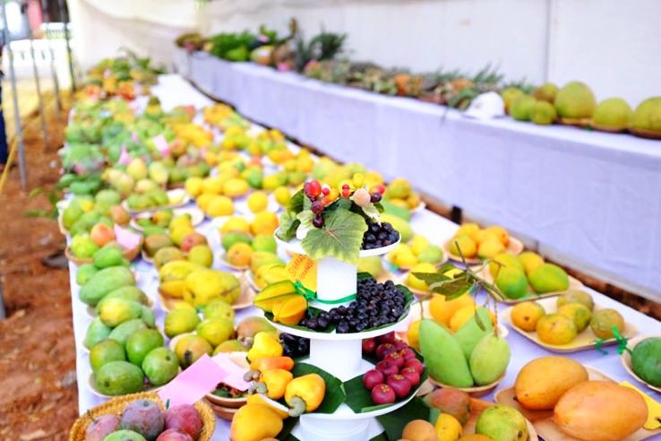 10 Must-Visit Festivals That Celebrate India s Fruits & Veggies
