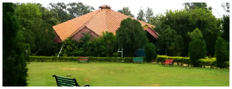 Woodrich Anbi Club