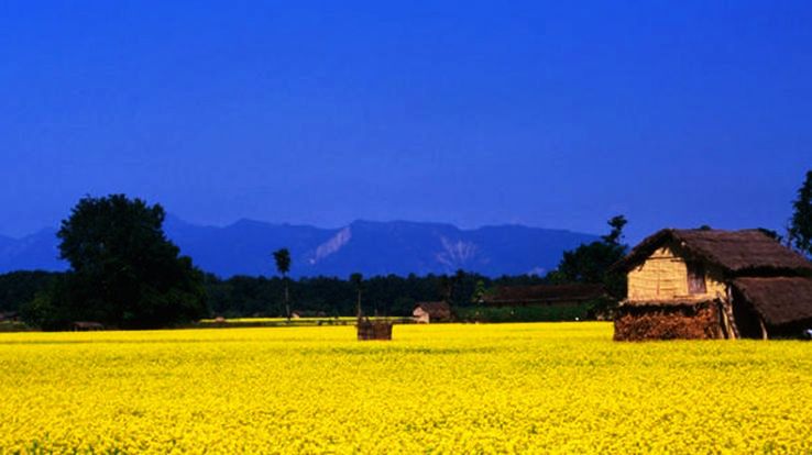 The Terai
