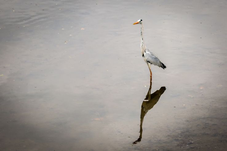 Sungei Buloh Wetland Reserve