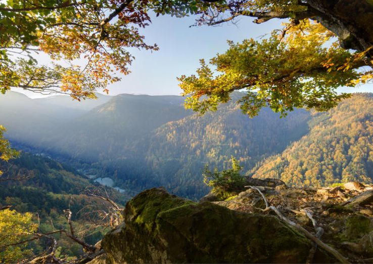 Explore the lovely Black Forest