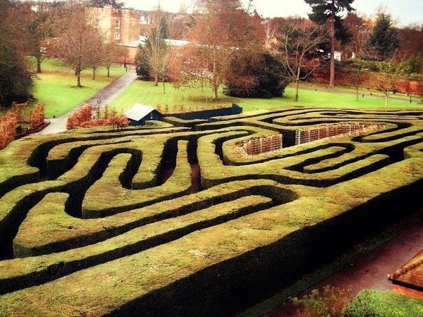 Hampton Court Maze