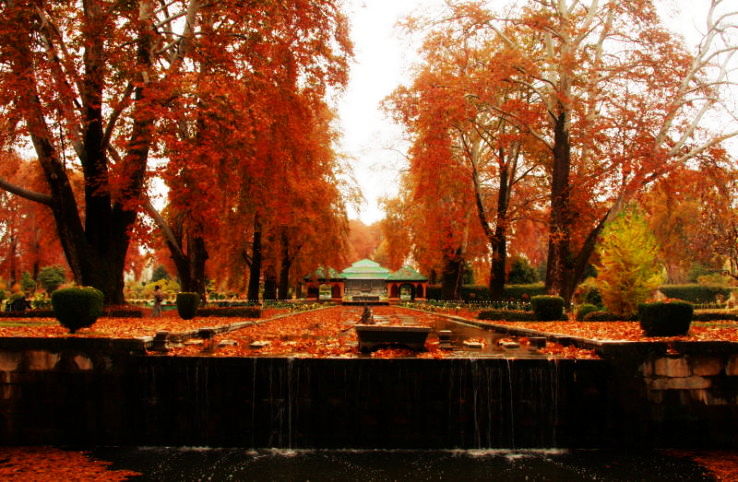 2 Garden of Paradise