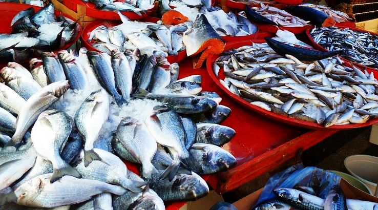 Mapusa Fish Market