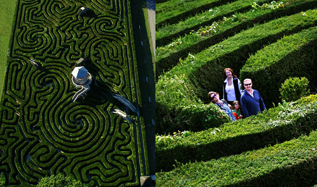 Longleat Hedge Maze