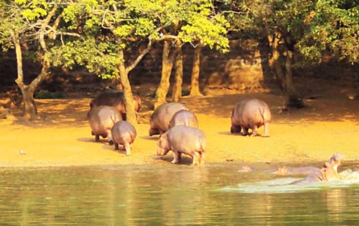 Nandankanan Zoological Park