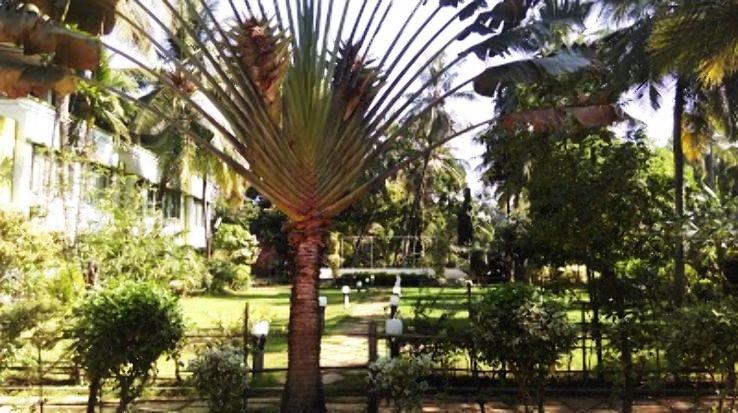 Ya Niwant Beach Resort