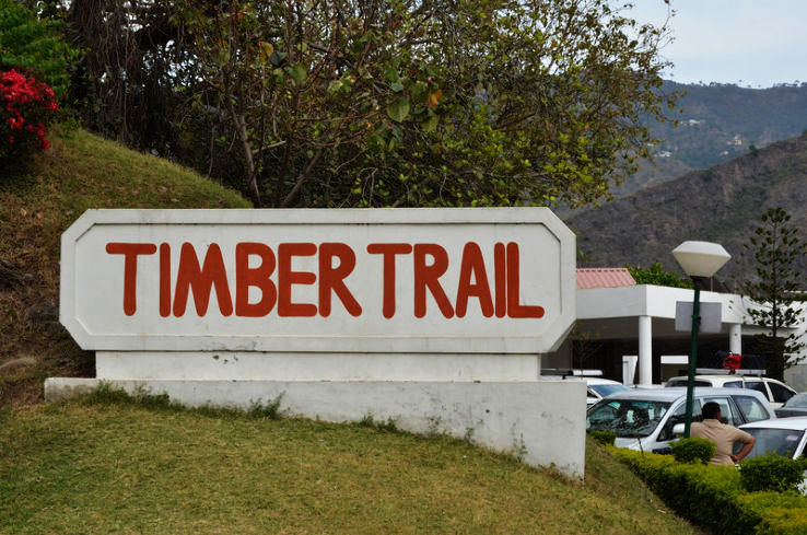 Timber Trail Guide For Tourists