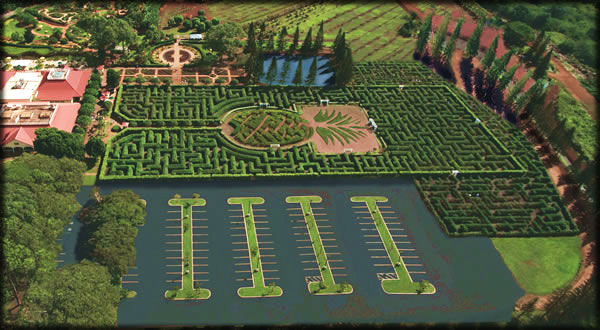Dole Plantation Pineapple Garden Maze