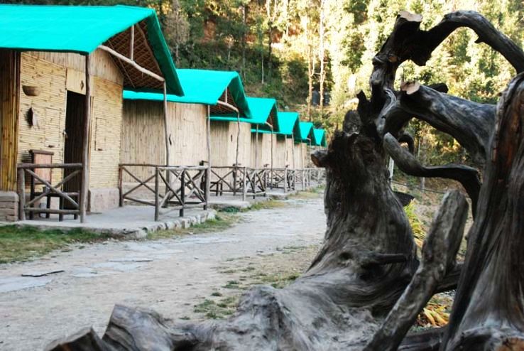 Camp Mashobra Greens 