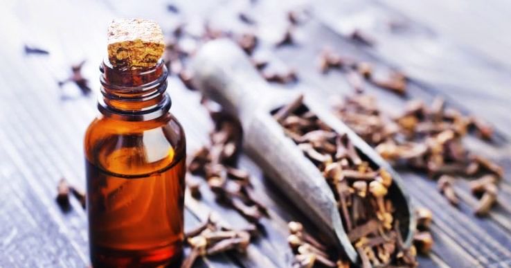 Apply 2-4 drops of clove oil on your body (4-8 drops if you are out in open) to keep mosquitoes away