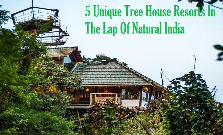 5 Unique Tree House Resorts In The Lap Of Natural India