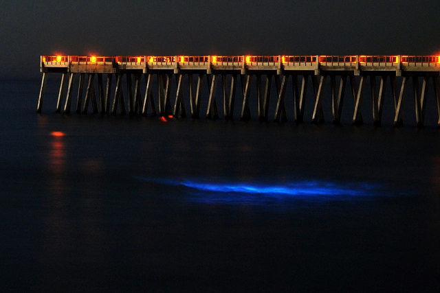 Incredible Places Where The Ocean Glows