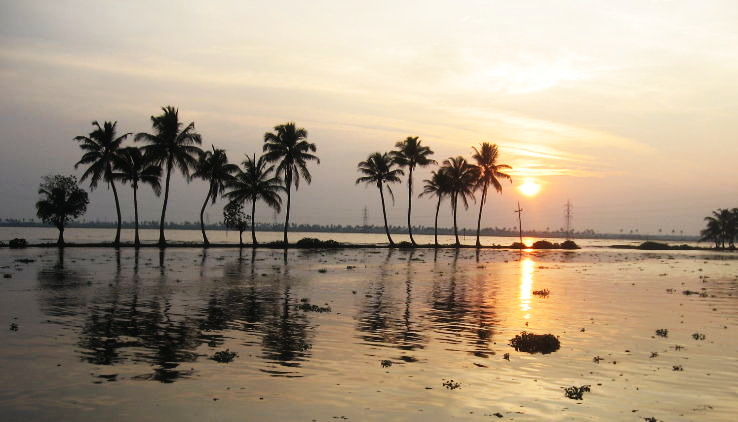 5. Alappuzha Backwaters