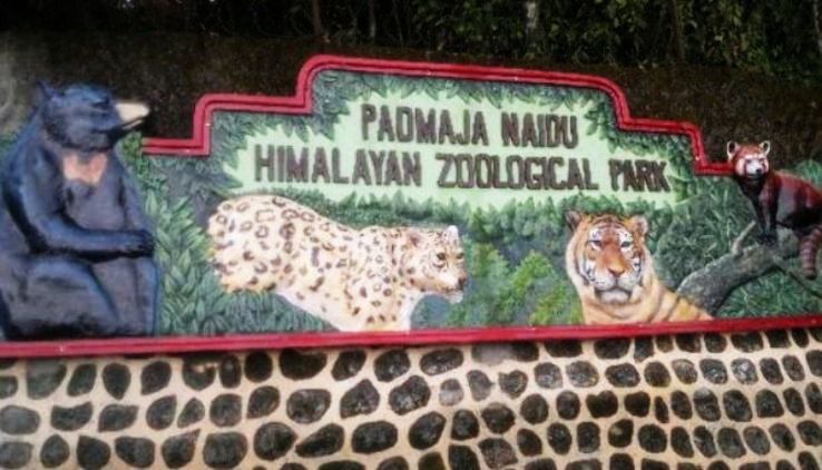 Padmaja Naidu Himalayan Zoological Park