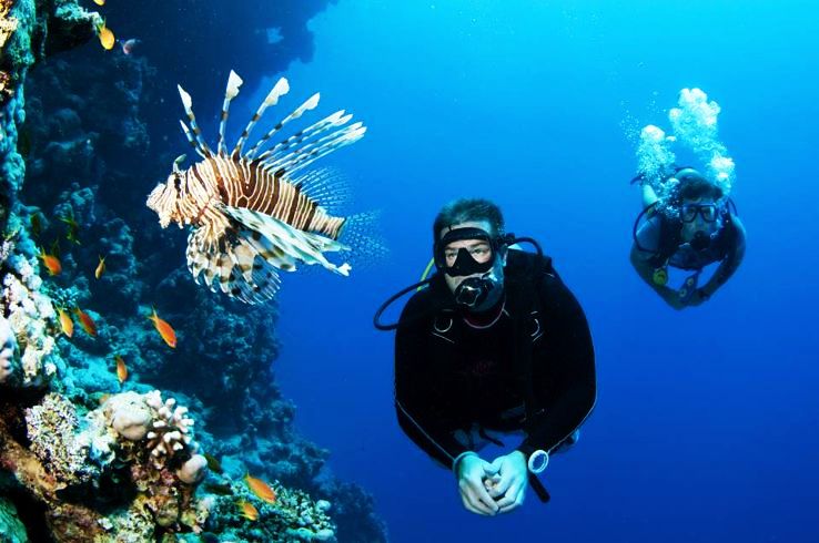 Scuba Diving