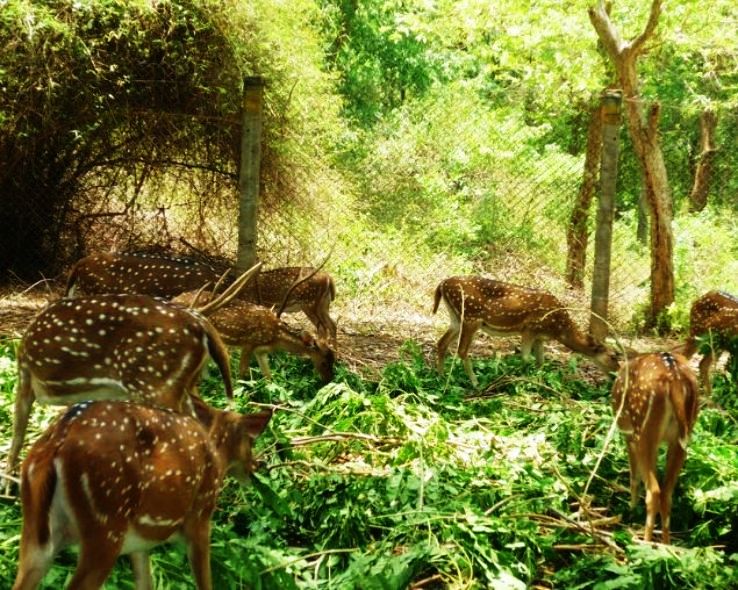 Amirthi Zoological Park