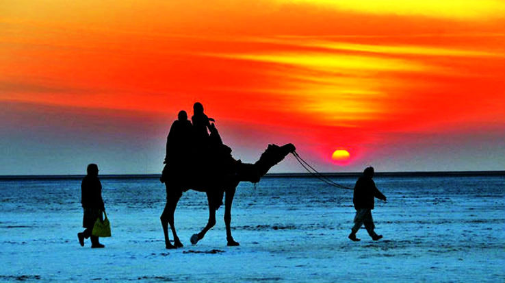 Famous One Day Picnic Spots In Gujarat