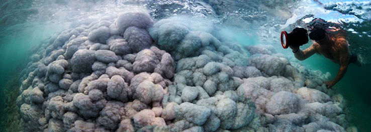 The cause behind the nomenclature