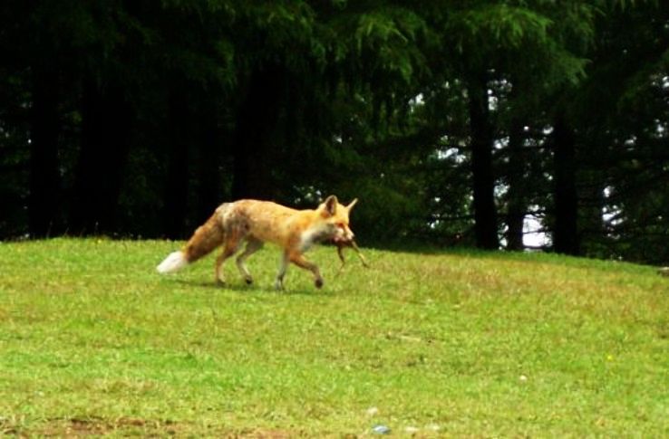 6- Kalatop Wildlife Reserve