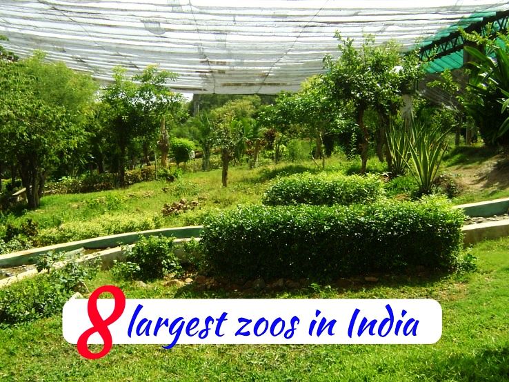 8 largest zoos in India