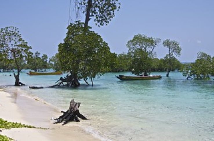 Neil Island