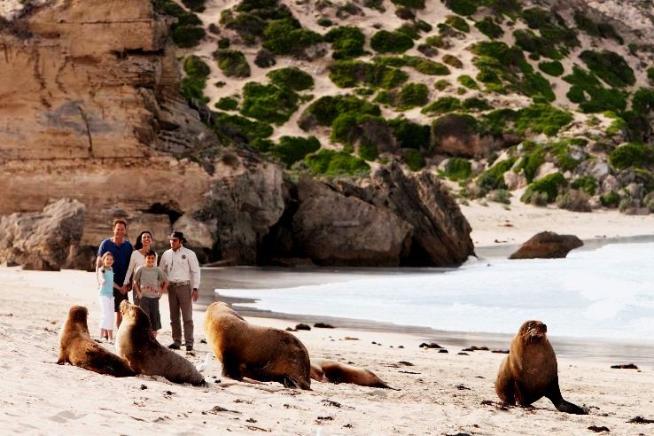 Kangaroo Island: 