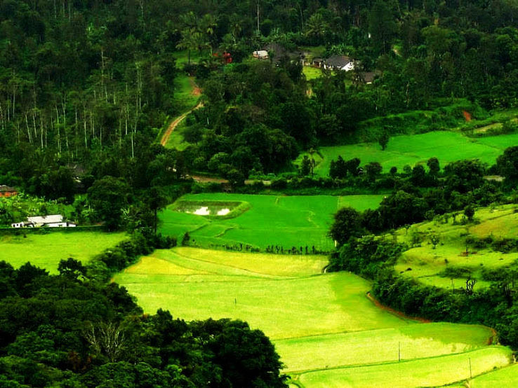4- Coorg