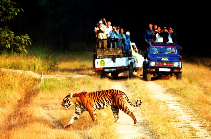 3 - Jim Corbett National Park