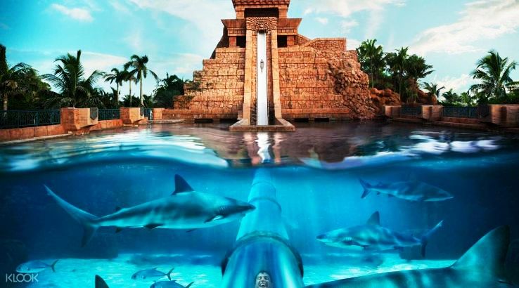 Aquaventure Water Park