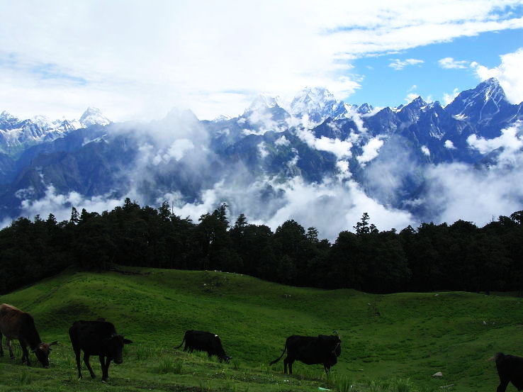 3. Auli