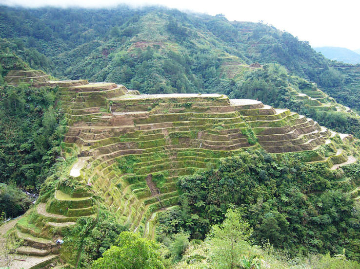 Banaue Rice Terraces (Philippines)