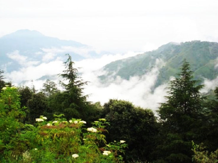 5. Chail