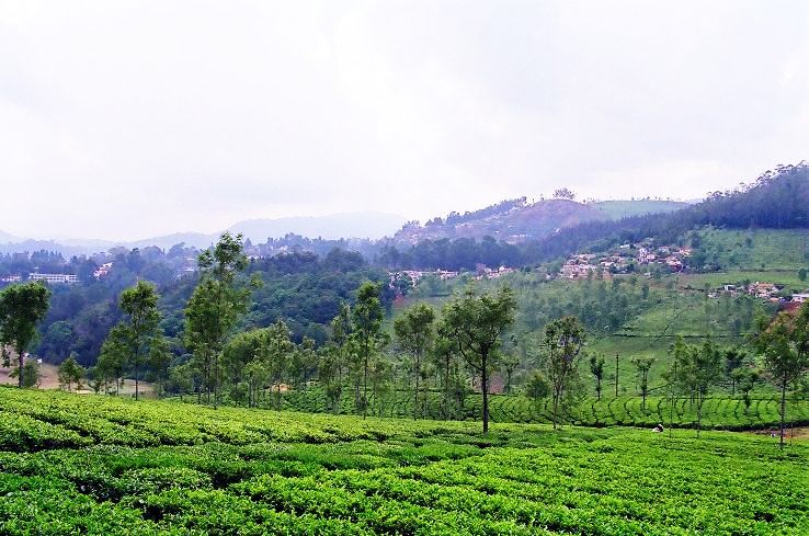 2. Coonoor