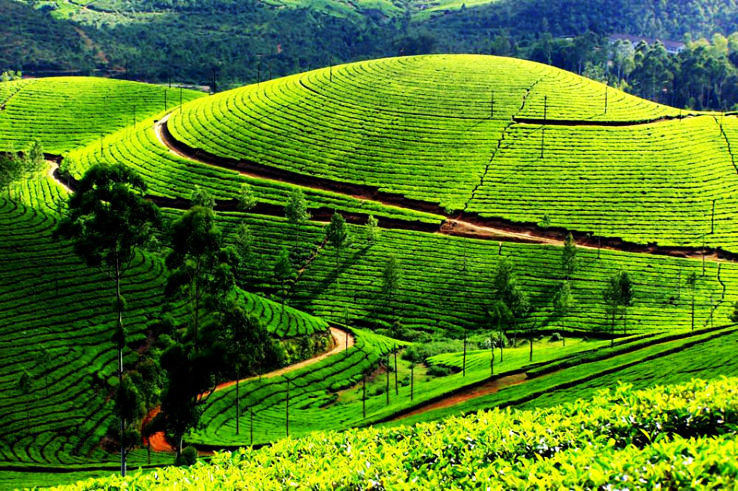 Darjeeling
