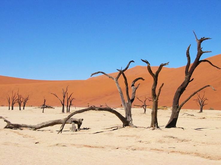 9. Deadvlei