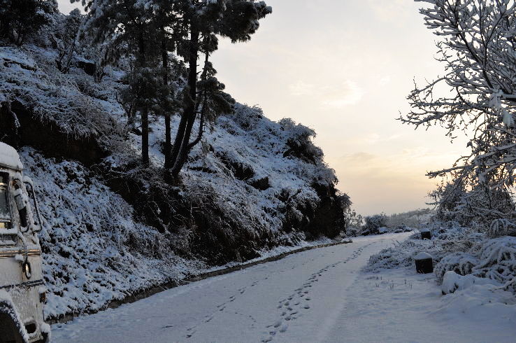 Dhanaulti