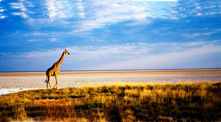 Etosha National Park