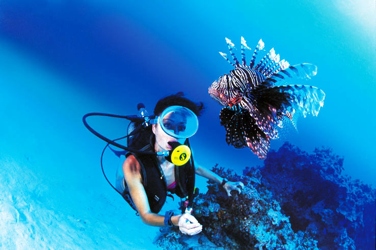 Certain Other Activities