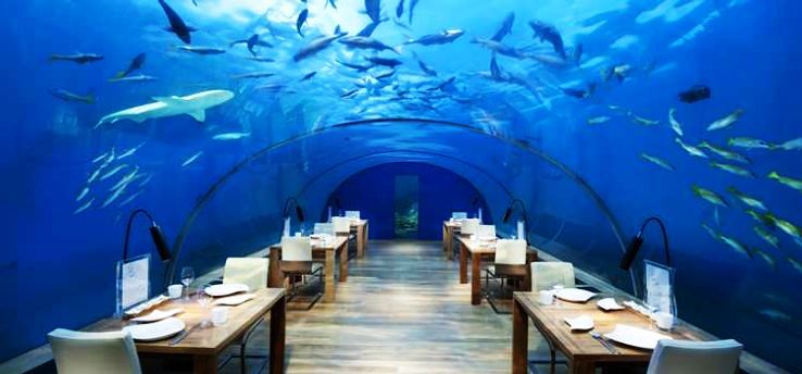 Ithaa Undersea Restaurant (Maldives)