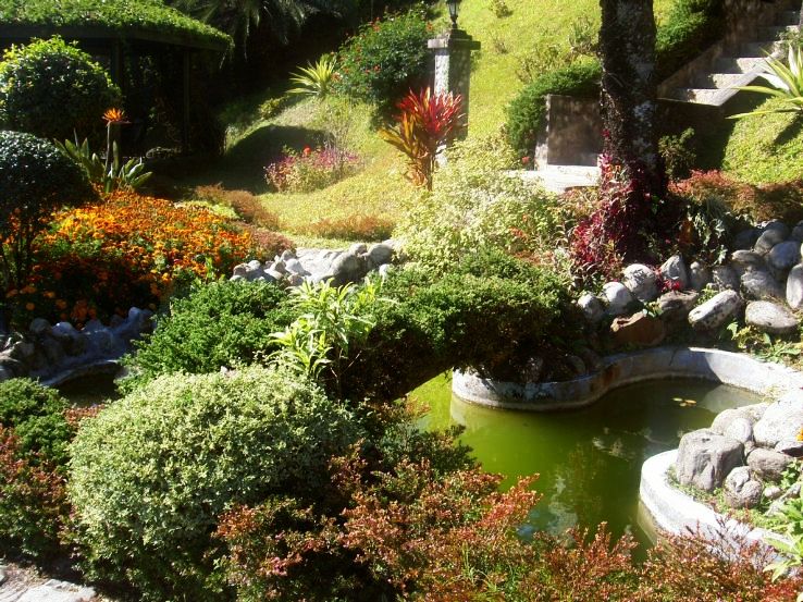 Climate in Kalimpong