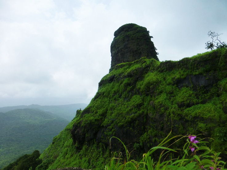 6. Karnala Bird Sanctuary
