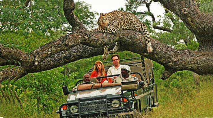 Kruger National Park