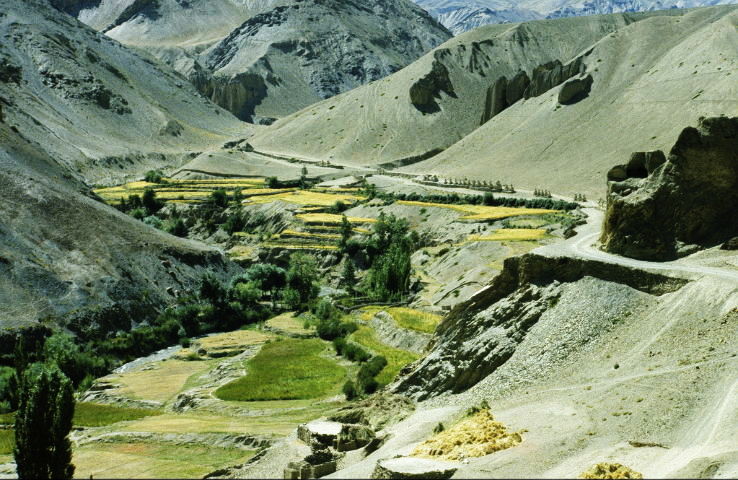 Losar Festival Celebrations