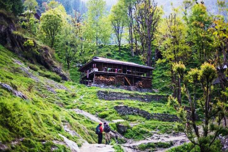 2. Malana