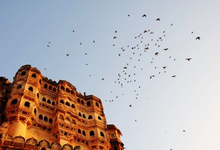 Jodhpur